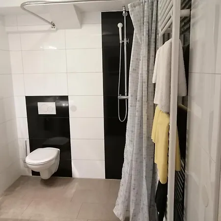 Zentrum Apartment *